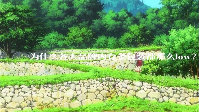 为什么各大品牌内存条包装都那么low？