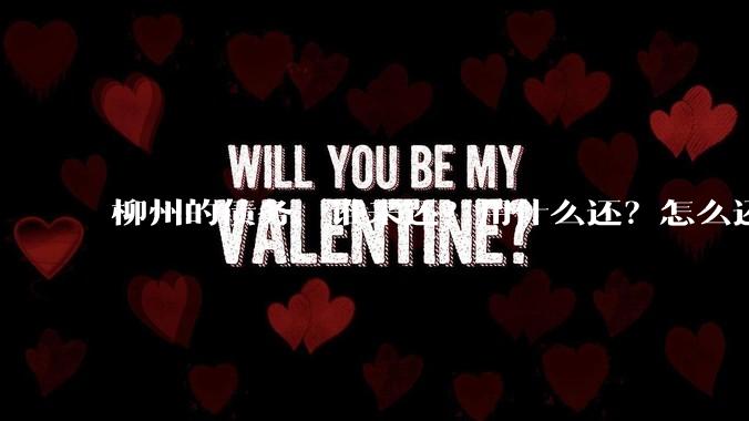 柳州的债务，谁来还？用什么还？怎么还？