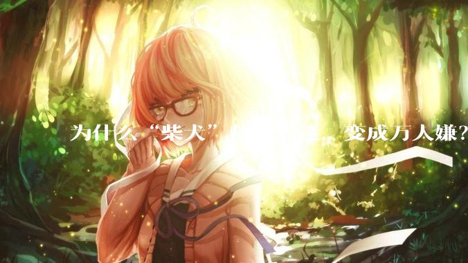 为什么“柴犬”从万人迷，变成万人嫌？