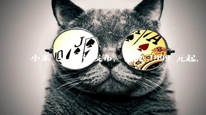 小米 AI 眼镜发布，售价 1999 元起，有哪些功能亮点？你看好其市场前景吗？