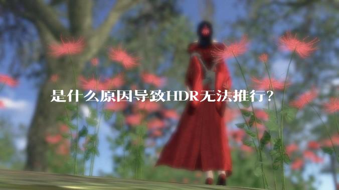 是什么原因导致HDR无法推行？