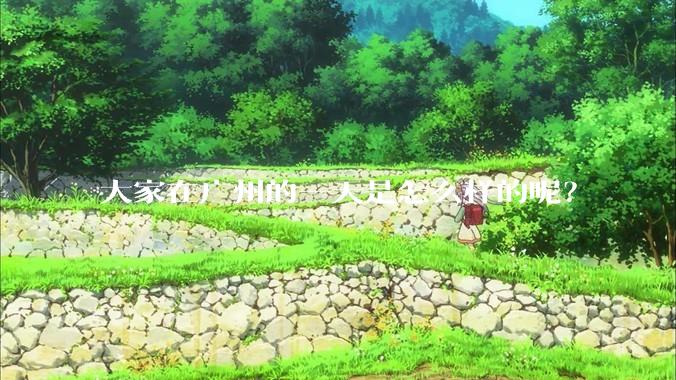 大家在广州的一天是怎么样的呢？