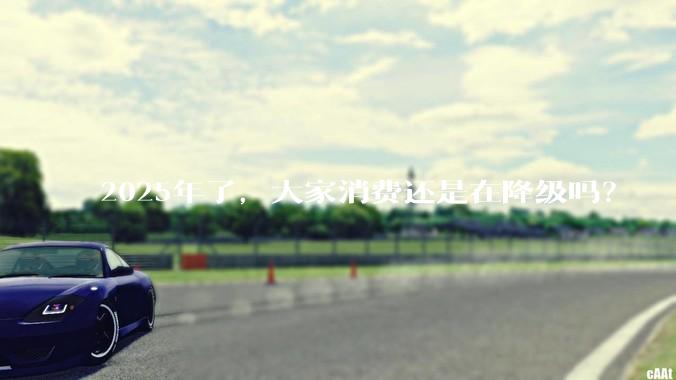 2025年了，大家消费还是在降级吗？