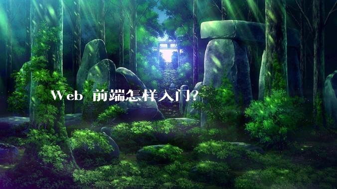 Web 前端怎样入门？