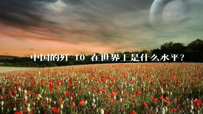 中国的歼-10 在世界上是什么水平？