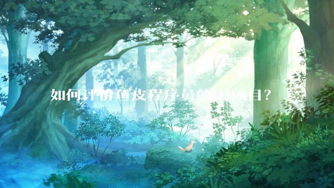 如何评价鱼皮程序员的OJ项目？