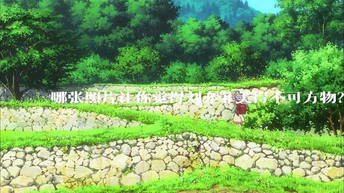 哪张照片让你觉得刘亦菲美得不可方物？