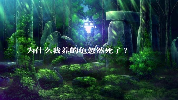 为什么我养的龟忽然死了?